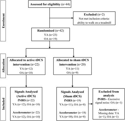 Bi-Anodal Transcranial Direct Current Stimulation Combined With Treadmill Walking Decreases Motor Cortical Activity in Young and Older Adults